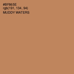 #BF865E - Muddy Waters Color Image